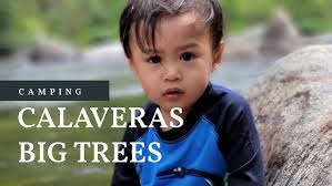 CAMPING AT CALAVERAS BIG TREES STATE PARK // OAK HOLLOW CAMPGROUND // JULY  2021