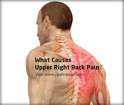 The two kidneys lie on each side of the spine in the lower part of the back. Pin On Diabetes Control