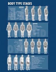 Body Type Stages Body Types Health Fitness Body Health