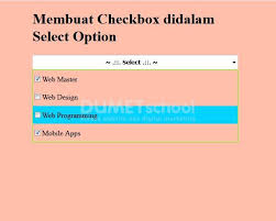 Jerawat semacam itu dapat disebabkan beberapa kebiasaan yang kurang baik, seperti terlalu sering mengupil atau membuang cairan hidung dengan keras. Cara Membuat Checkbox Didalam Select Option
