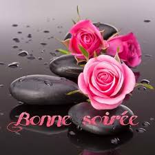 belle soirée - Elettra