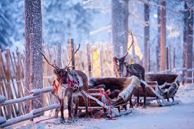 What are the names of santa's reindeer. How Many Reindeer Does Santa Have Full List Of Names For Father Christmas S Faithful Flying Deer