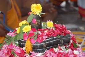 Image result for shivling pooja images