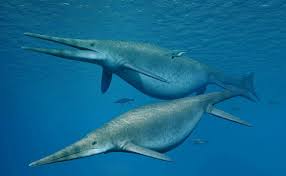 Există părerea că sînt exemplare de pînă la 37. O ReptilÄƒ MarinÄƒ AnticÄƒ Unul Dintre Cele Mai News Ro