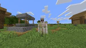 Minecraft Java Edition - Preventing Iron Golems From Spawning Outside The  Spawner Platform? - Arqade