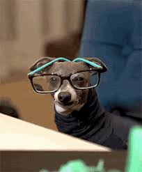17 times jenna marbles' dog kermit sparked pure joy. Jenna Marbles Kermit Gifs Tenor