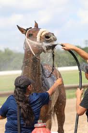 The lean beef patty naked contact was easy, she was