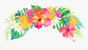 Transparent Hawaiian Flowers Png Transparent Background Tropical Flowers Png Png Download Transparent Png Image Pngitem Choose from over a million free vectors, clipart graphics, vector art images, design templates, and illustrations created by artists worldwide! transparent hawaiian flowers png