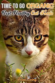 Felineliving Net Organic Cat Food Cat Food Kitten Food