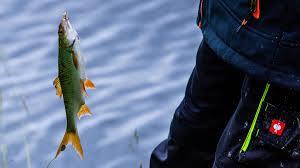 Videos de machika desnuda would definitely repeat, I offer