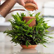 terraplanter inside out hydroponic planter by eran zarhi growing plants indoors planters shade landscaping