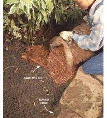 Provide plenty of fresh drinking water in a bowl that can't be tipped over. 7 Best Stop Dogs From Digging Ideas Stop Dogs From Digging Dogs Digging Dogs