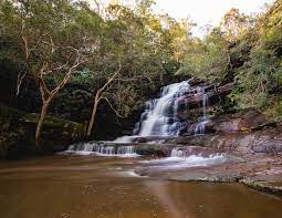 The hike should take approximately 20 mins to complete. Insider Tips To Get The Most From Visiting Somersby Falls Walk My World