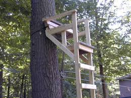 Pin On Tree Stand