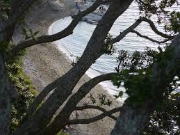 Respect and dignity for all bodies. The Five Best Nude Beaches Near Auckland Concrete Playground Concrete Playground Auckland