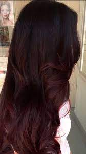 The Subtle Ombre I Want Rich Brown To Red Tones Edited By Me Hair Styles Hair Color Mahogany Mahogany Hair