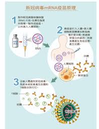 Jul 01, 2021 · 当我们在朋友圈里讨论着打疫苗的日子何时会结束，以及下一针究竟怎么打的时候，nature的一则消息让我的精神近似穿越。nature以同行评议研究表明. å¥åº·åˆŠç‰© å…¨æ°'å¥åº·åŸºé‡'æœƒ