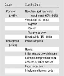 Cancer can cause different symptoms, such as abnormal bumps, night sweats, or unexplained weight gain or loss. Large Bowel Obstruction In The Adult Classic Radiographic And Ct Findings Etiology And Mimics Radiology