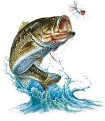 Image Result For Bass Jumping Out Of Water Bass Fishing Pictures Fish Drawings Fish Art