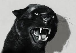 3d Pencil Drawing Of Black Panther Panther Art Black Panther Art Black Panther Drawing