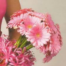 Gerbera daisies are a beautiful way to send a message of cheer, happiness and enthusiasm. Gerber Daisy Wedding Bouquet Diy Wedding Tutorials Recipes Supply