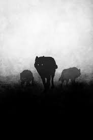 Black And White Wolf Pictures Wolf Art Wolves Black And White Wolf Pack Alpha Wolf Silhouettes Predators The Hunt The Grey The Mi Wolf Painting Wolf Silhouette Wolf Black And White