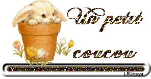 Résultat de recherche d'images pour 