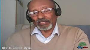 What a poem from dr zelalem wow. Walaloo Artist Dr Zalaalam Abarraa Youtube