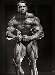 план занятий в тренажерном зале для мужчин Http 1trenirovka Com Arnold Schwarzenegger Bodybuilding Photo Picture The Golden Era Of Bodybuilding Bodybuilding Bodybuilding Quotes Muscle Building Workouts