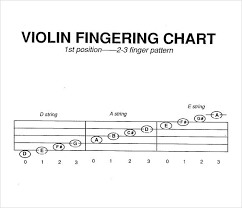 pin on beginner violin