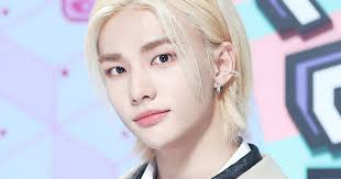 Stray kids(스트레이 키즈) wolfgang 발매 안내. Stray Kids Fans Urge Jyp Entertainment To Bring Hyunjin Back From Hiatus Koreaboo