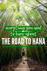 Road to hana luxury mercedes with waterfall swim, black sand beach and lunch. Secrets Of The Road To Hana In Maui