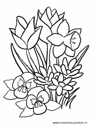 Spring coloring pages that parents and teachers can customize and print for kids. Tulpen Spring Coloring Sheets Flower Coloring Sheets Free Coloring Pages