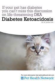 If Your Pet Has Diabetes You Can T Miss This Discussion On Life Threatening Dka By Dr Justine Lee Cats Dogs Pregnant Dog Pet Health Pet Care Dogs Puppies