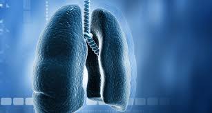 The disease has spread to every continent and case numbers authorities in 219 countries and territories have reported about 142.6 million covid‑19 cases and 3. Covid 19 Wie Die Viren Die Lunge Fruhzeitig Schadigen