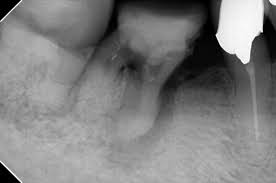 ほうじょう歯科医院新日本橋