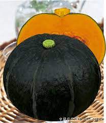 They are beneficial for pregnant women because they can prevent preterm delivery, owing to high zinc content. Chinese Dark Green Pumpkin Seeds Vegetable Seeds For Sale Buy Dark Green Pumpkin Seeds Pumpkin Seeds Pumpkin Seeds Price Product On Alibaba Com
