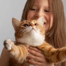 TOP 10 BEST Veterinarians near Cambridge City, IN