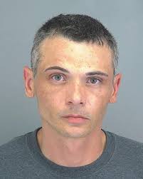 N.C. man charged after infant, dog found locked in car