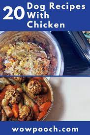20 Dog Food Recipes With Chicken Wowpooch Dog Food Recipes Healthy Dog Food Recipes Make Dog Food