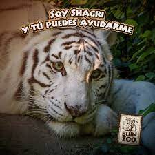 Check out updated best hotels & restaurants near buin zoo. Parque Zoologico Buin Zoo Chile Fotos Facebook