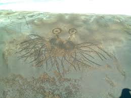 Résultat de recherche d'images pour "flying spaghetti monster sighting"