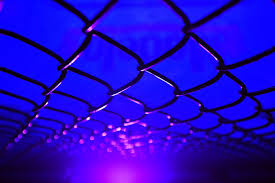 The year 2021 will be the 28th year in the history of the ultimate fighting championship (ufc), a mixed martial arts promotion based in the united states. Ufc Fight Pass To Stream New Mma Muay Thai Events In 2021 Ufc