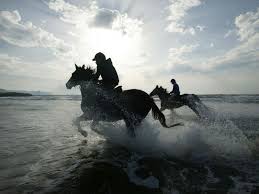Deux Chevaux Montes Par Des Cavaliers Au Galop Dans L Eau Cheval De Course Chevaux De Course Cheval