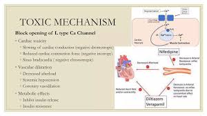Image result for Beta Blocker Overdose