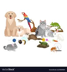 Home Pets Set Cat Dog Parrot Goldfish Hamster Vector Image Cartoon Animals Goldfish Pets