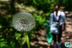 Sectiunea de fata este dedicata temei: Vox Ce Cred Elevii Despre Job Urile Pe Timp De VarÄƒ È™i Ce Locuri De MuncÄƒ ReuÈ™esc SÄƒ È™i GÄƒseascÄƒ In VacanÈ›Äƒ Youth Md