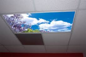 Jacaranda Tree Skypanels Fluorescent Light Diffuser Skypanels Com Http Www Amazon C Fluorescent Light Diffuser Fluorescent Light Covers Light Fixture Covers