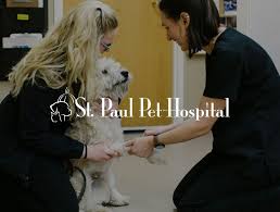 Locally owned small animal hospital providing medical and surgical services for dogs and. Award Winning Veterinary Websites For Veterinarians Intouch Vet