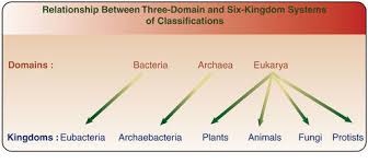 We did not find results for: Modern Classification Systems Ck 12 Foundation